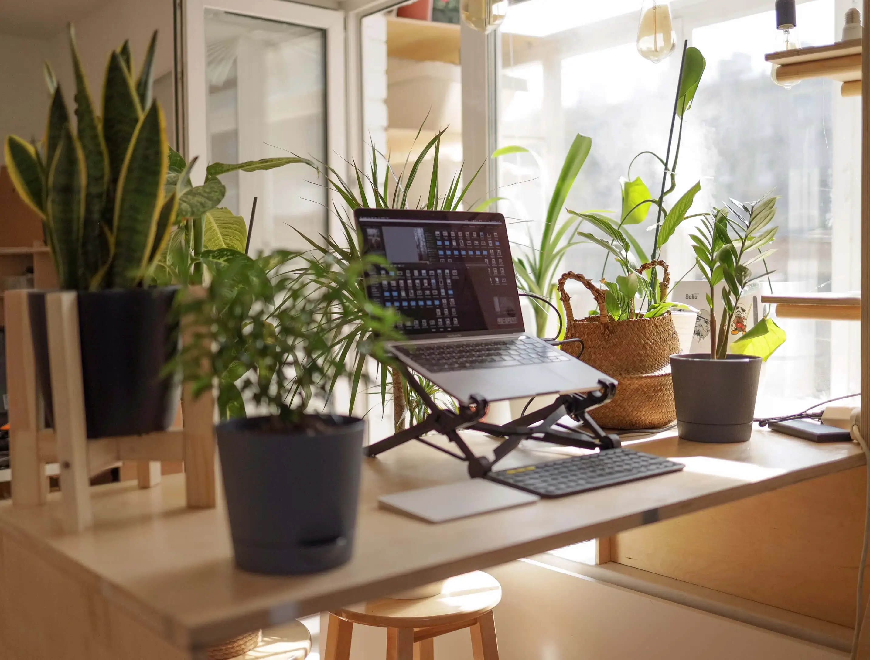 Home office setup